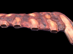 PorkRibs Grilled 3D Model