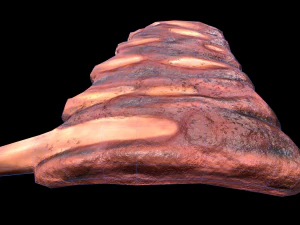 PorkRibs Grilled 3D Model