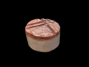 Scallop 3D मॉडल