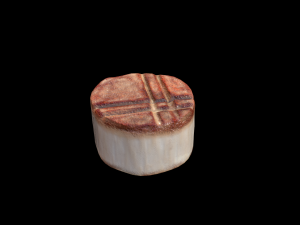 Scallop 3D मॉडल