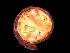 Scallop Bacon 3D Model