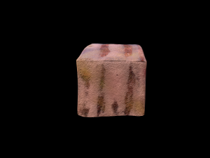 Tuna Cube 3D Model
