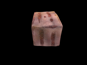 Tuna Cube 3D Model