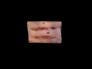 Tuna Cube 3D Model