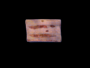 Tuna Cube 3D Model