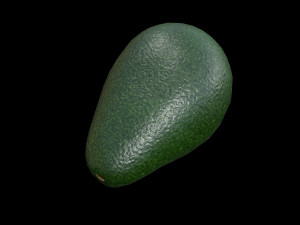 Avocado 3Dモデル