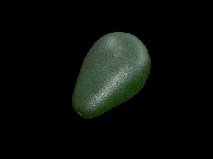 Avocado 3D Model