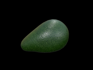 Avocado Modello 3D