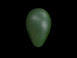 Avocado 3D Model