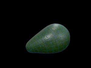 Avocado Modello 3D