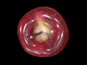 Apple 3D Model
