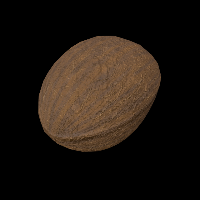 Coconut 3D Model .c4d .max .obj .3ds .fbx .stl .blend 