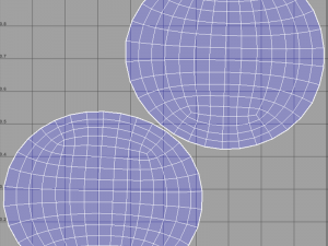 Coconut 3D Model
