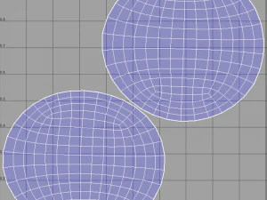 Coconut 3D Model