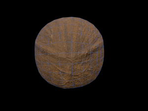Coconut 3D Model