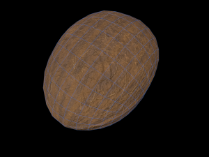 Coconut 3D Model
