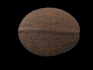 Coconut 3D Model
