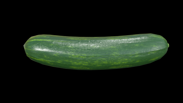 Cucumber Modèle 3D .c4d .max .obj .3ds .fbx .stl .blend 
