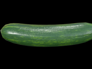 Cucumber Modelo 3D