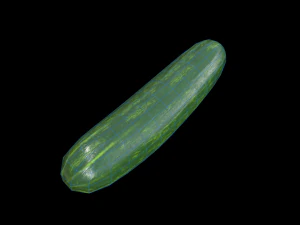 Cucumber 3D Model