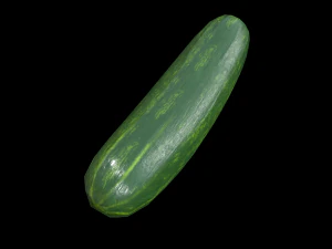 Cucumber 3D Model