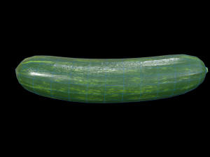 Cucumber Modèle 3D