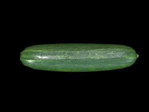 Cucumber 3D Model
