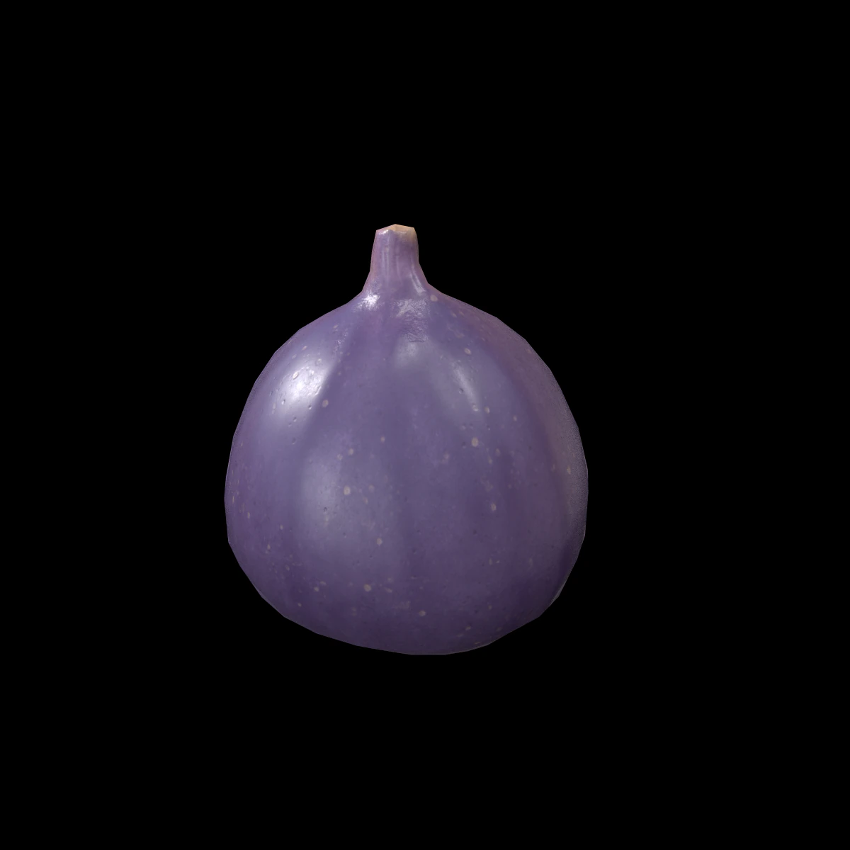 Fig 3D Model .c4d .max .obj .3ds .fbx .stl .blend 