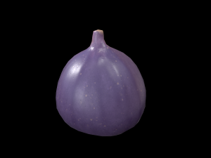 Fig Modelo 3D