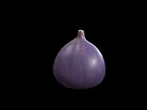 Fig 3D Model