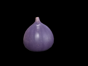 Fig 3D Model