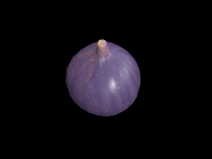 Fig 3D Model