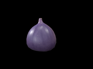 Fig 3D Model