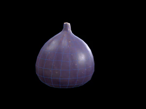 Fig 3D Model