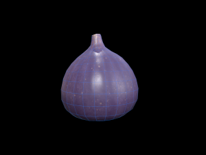 Fig 3D Model