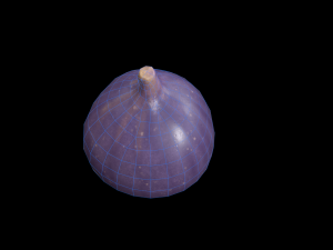Fig 3D Model