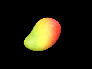 Mango 3D Model