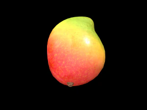 Mango 3D Model