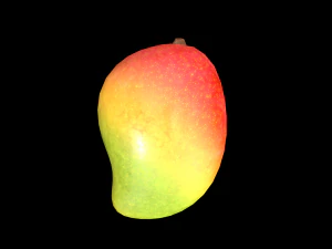 Mango 3D Model