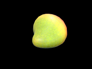 Mango 3D Model