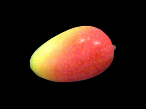 Mango 3D Model