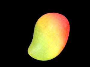 Mango 3D Model