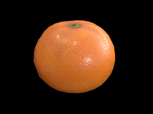 Orange 3D Model
