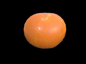 Orange 3D Model