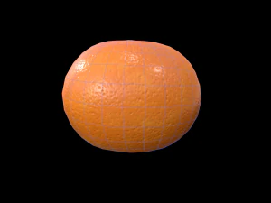 Orange 3D Model
