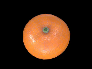 Orange 3D Model