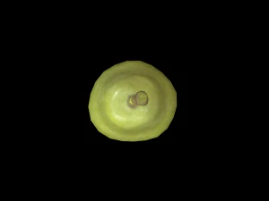 Pear 3D Model