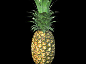 Pineapple 3D 模型