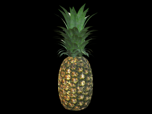 Pineapple 3D मॉडल