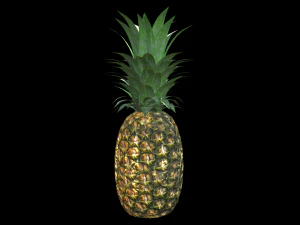 Ananas 3D Modell
